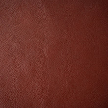 Cargar imagen en el visor de la galería, Edimburg