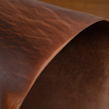 Cargar imagen en el visor de la galería, Old Harness