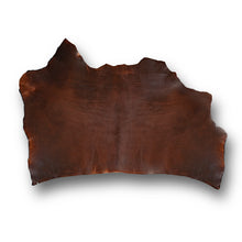 Cargar imagen en el visor de la galería, Old Harness