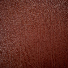 Cargar imagen en el visor de la galería, Koba