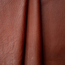 Cargar imagen en el visor de la galería, Koba