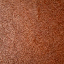 Cargar imagen en el visor de la galería, Harness